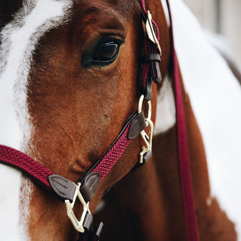 Kentucky Horsewear - Braided nylon halter bordeaux | - Ohlala