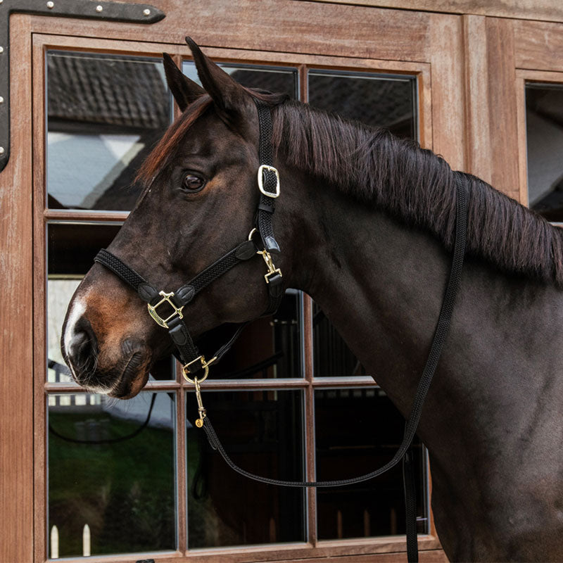 Kentucky Horsewear - Geflochtene Nylon-Longe schwarz 2 m | - Ohlala