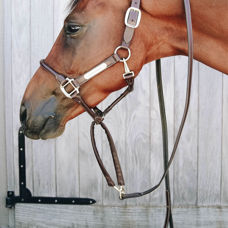Kentucky Horsewear - レザーカバー付きプレゼンテーション用ロンジ | - Ohlala