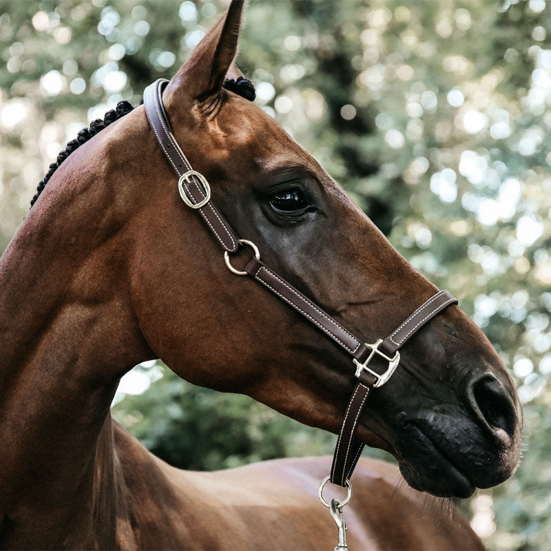 Kentucky Horsewear - フレキシブル合成皮革ハルター | - Ohlala