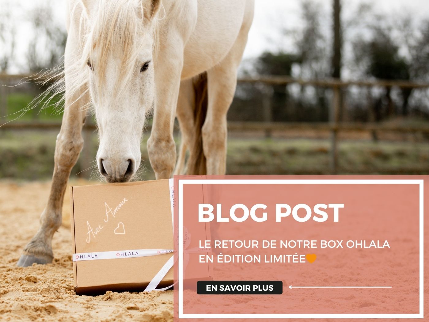 Le retour de notre Box OHLALA en édition limitée🧡