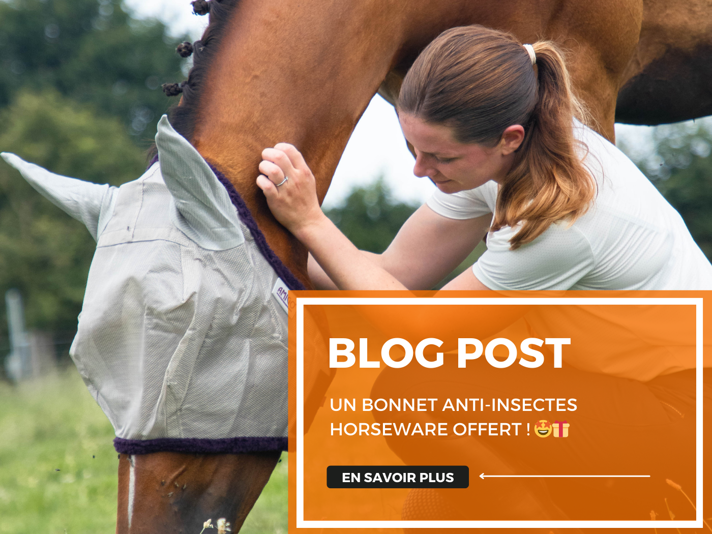 Un bonnet anti-insectes Horseware offert ! 🤩🎁