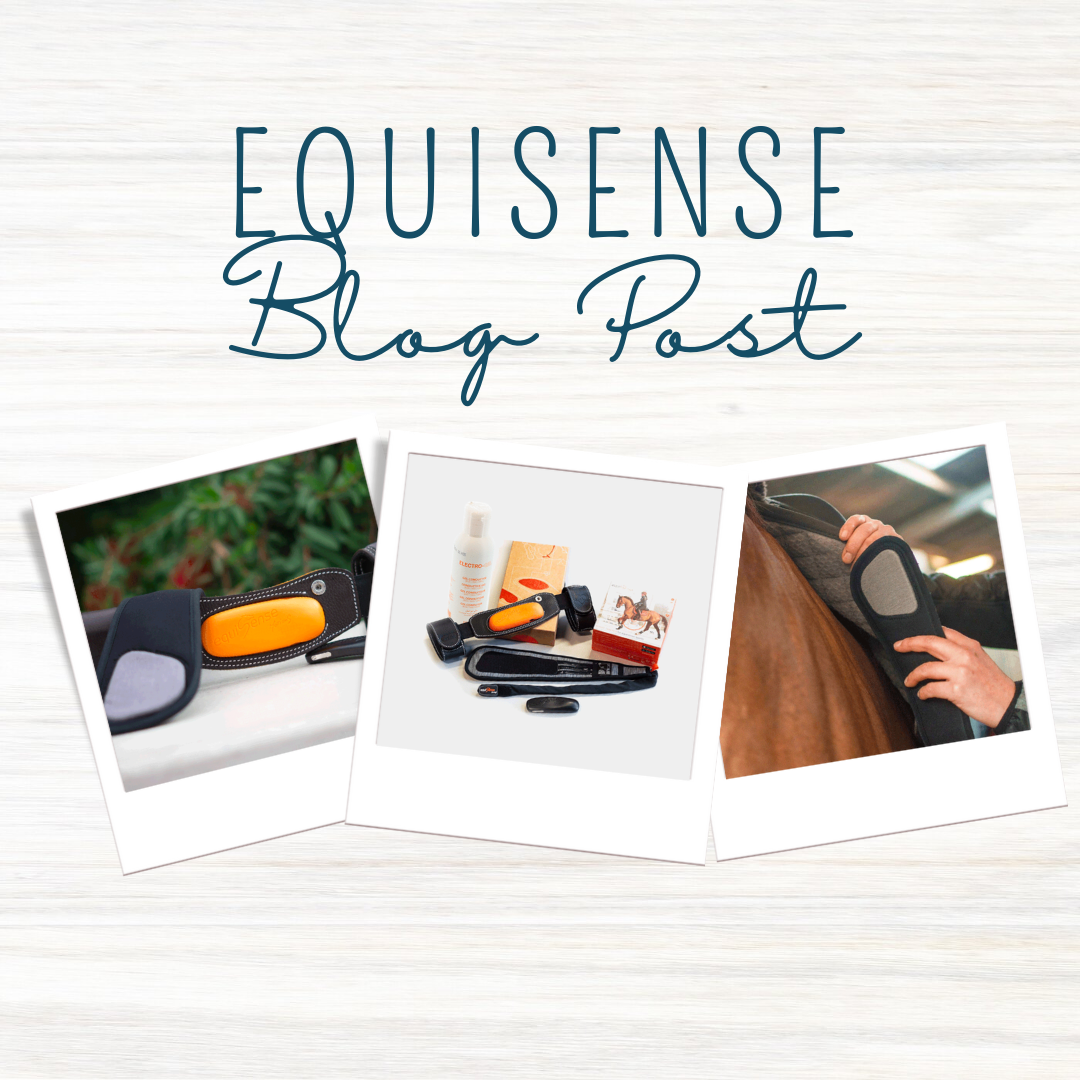 EQUISENSE - Qu'est-ce que c'est ?