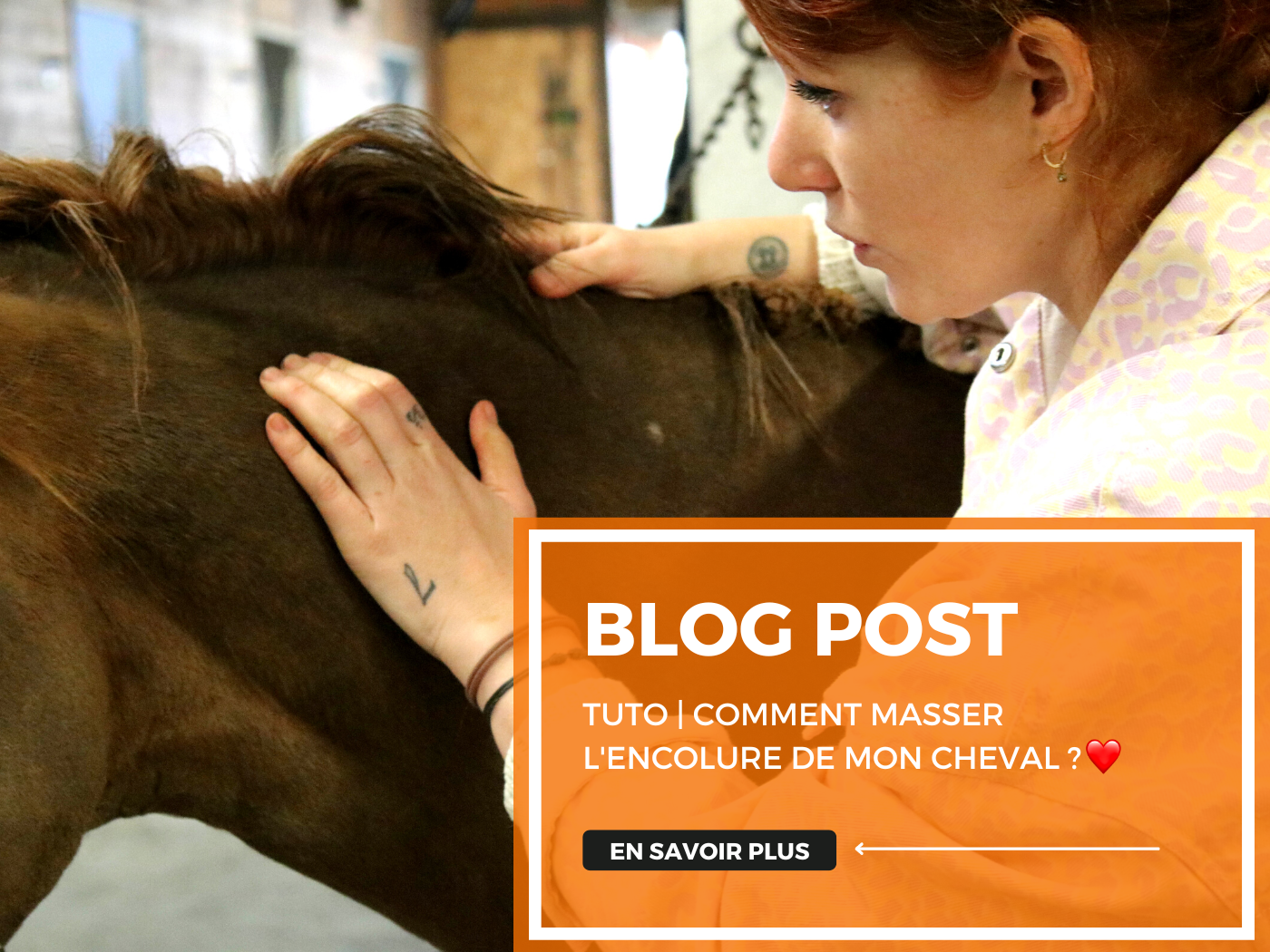 TUTO - Comment masser l'encolure de mon cheval ? ❤️