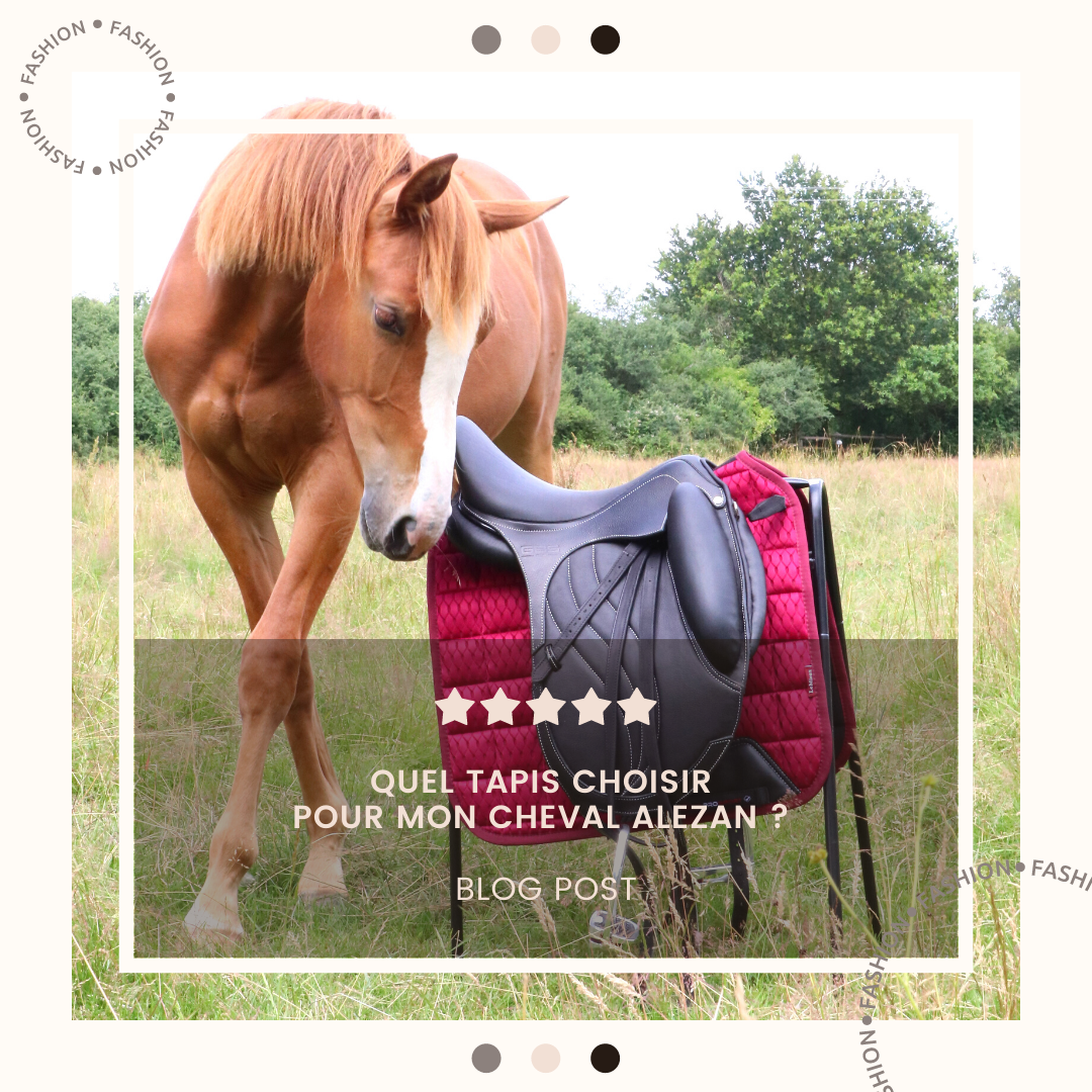#QuelTapisPour mon cheval Alezan ? 🍊