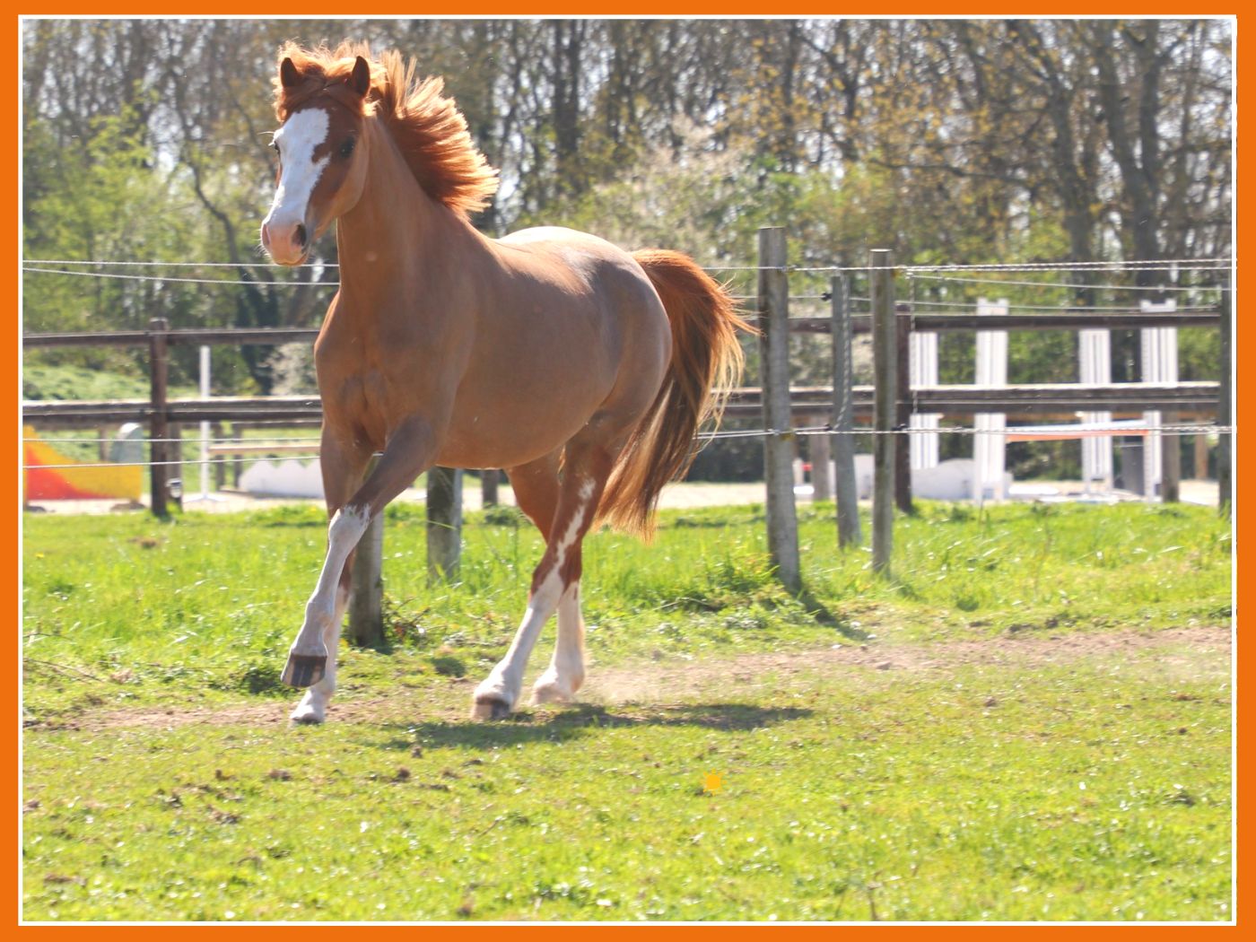 Aider son cheval à affronter le changement de saison ☀️