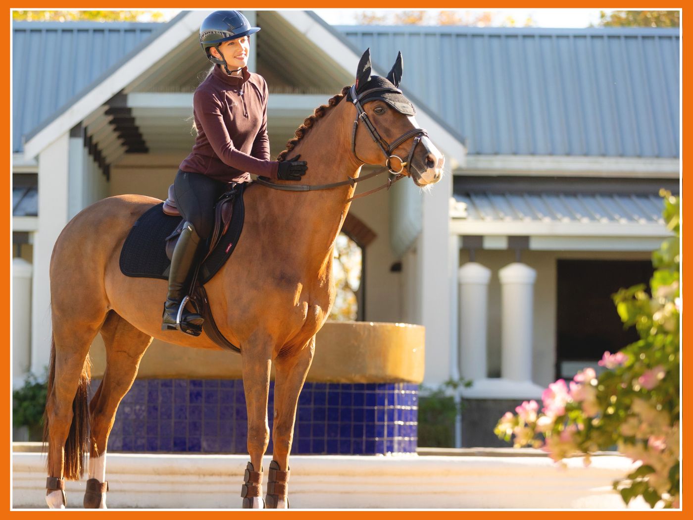 Les indispensables pour commencer l'équitation 🐴