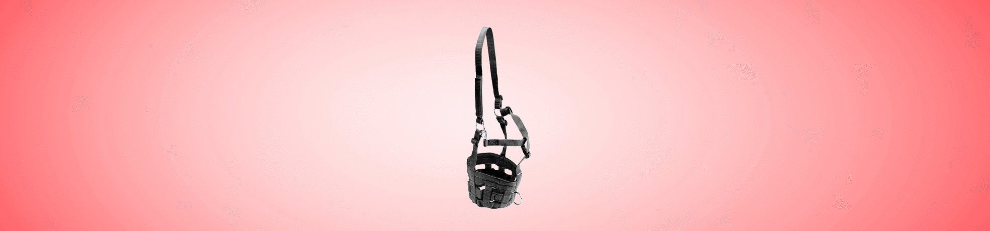 Accessoires pour l'écurie