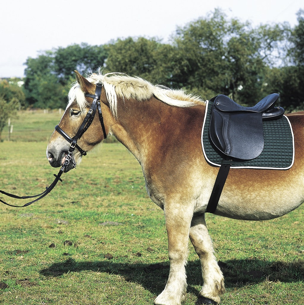 Norton - Selle de club cheval de trait | - Ohlala