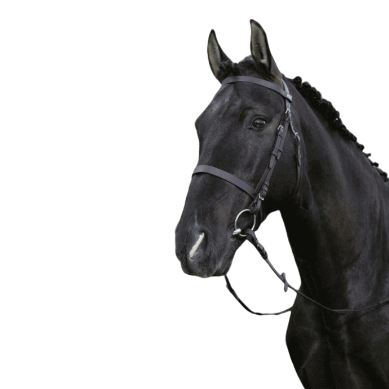 Riding World - Black French noseband bridle with reins