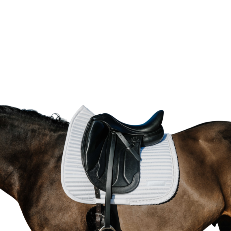 Equithème - Dressurpad Glam Weiß