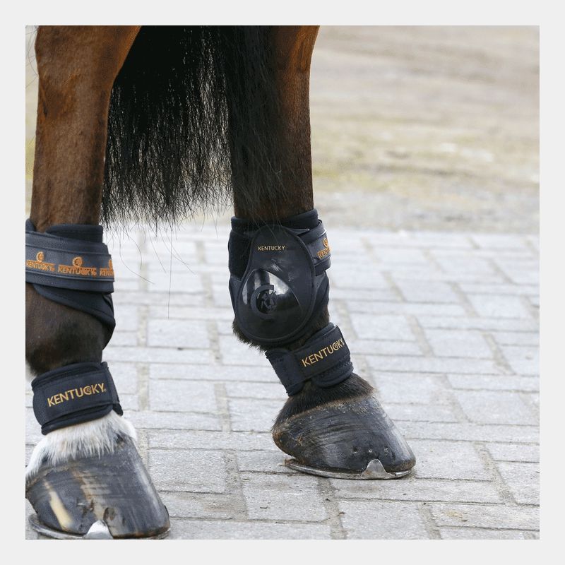 Kentucky Horsewear - Protège-paturons | - Ohlala