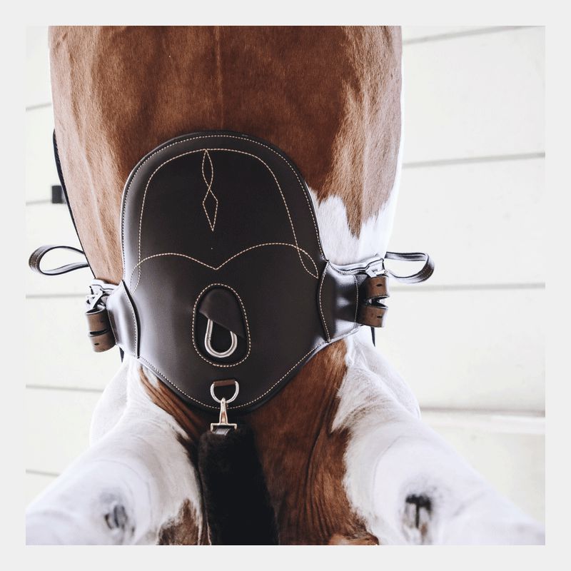 Kentucky Horsewear - Sangle bavette courte marron | - Ohlala