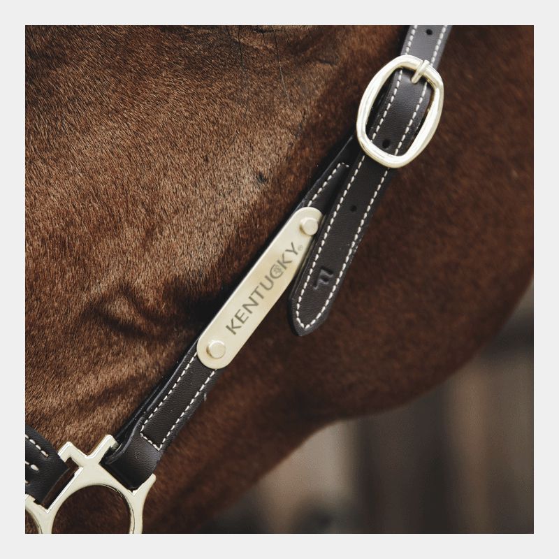 Kentucky Horsewear - Plaque pour licol | - Ohlala