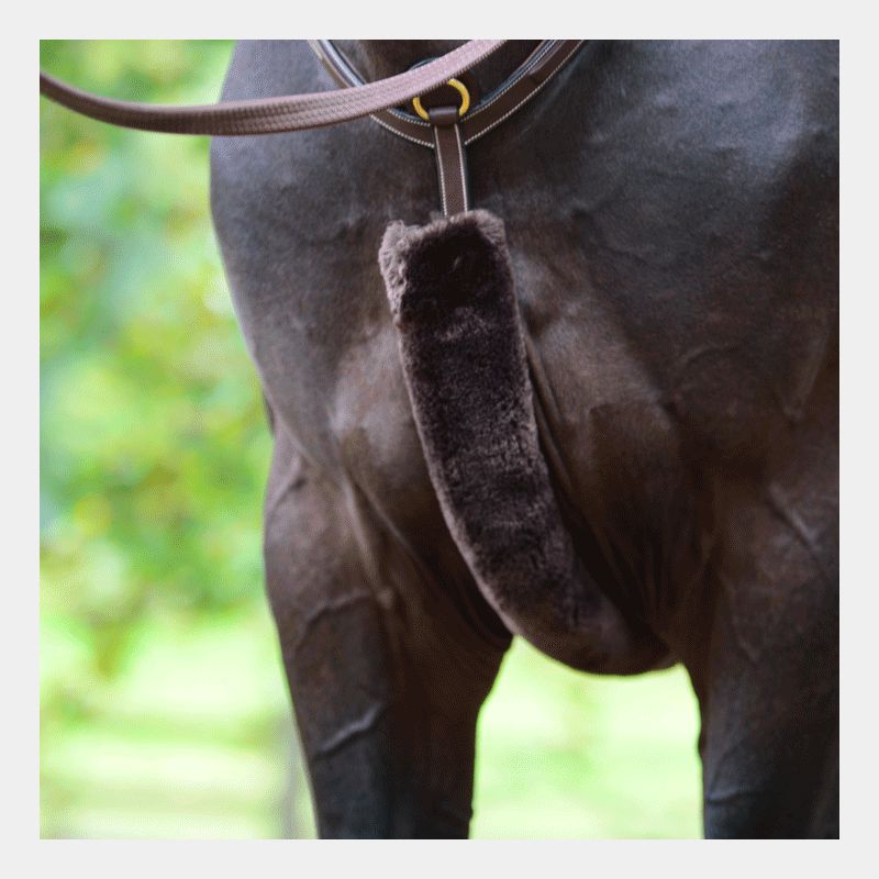 Kentucky Horsewear - Fourreau de collier de chasse marron | - Ohlala