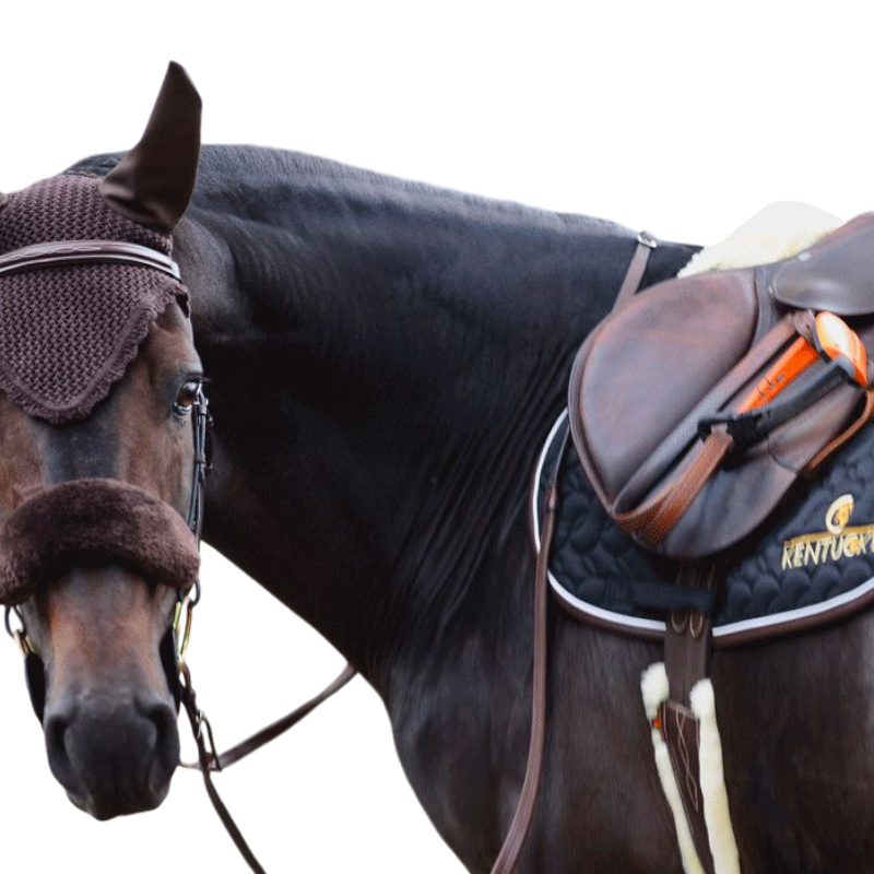 Kentucky Horsewear - Brown Noseband Sheath