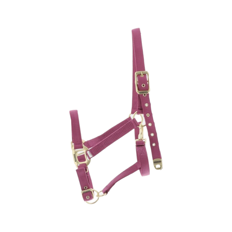 Equithème - Fuchsia Nylon Halter