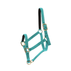 Norton - Licol nylon doublé cuir turquoise | - Ohlala