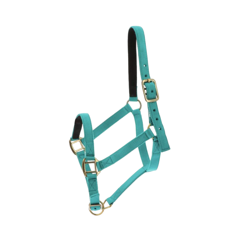 Norton - Turquoise leather-lined nylon halter