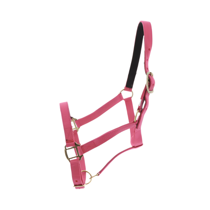 Norton - Fuchsia leather-lined nylon halter