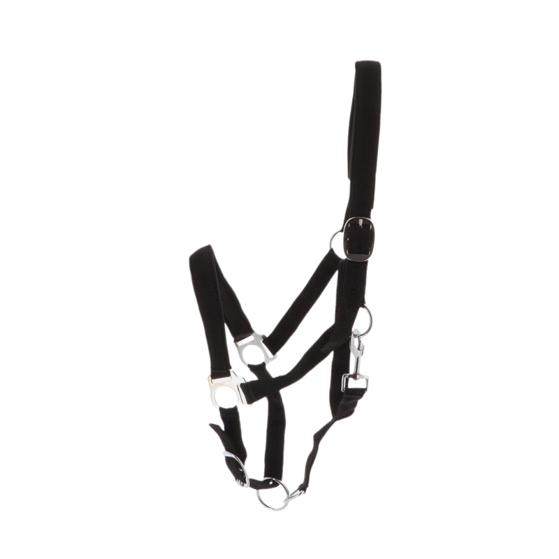 Norton - Black neoprene lined nylon halter