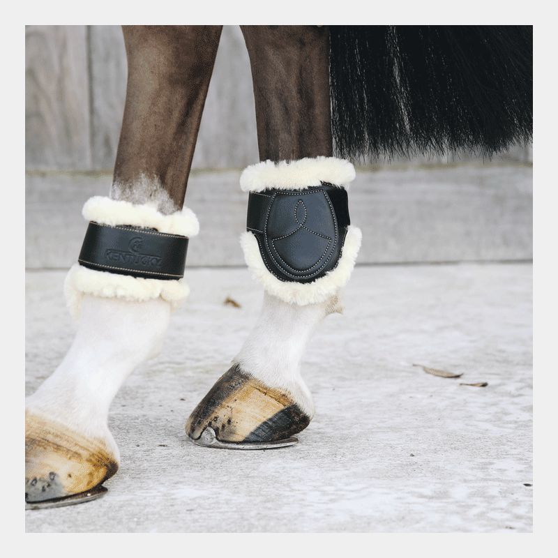 Kentucky Horsewear - Protège-boulets cuir mouton noir | - Ohlala