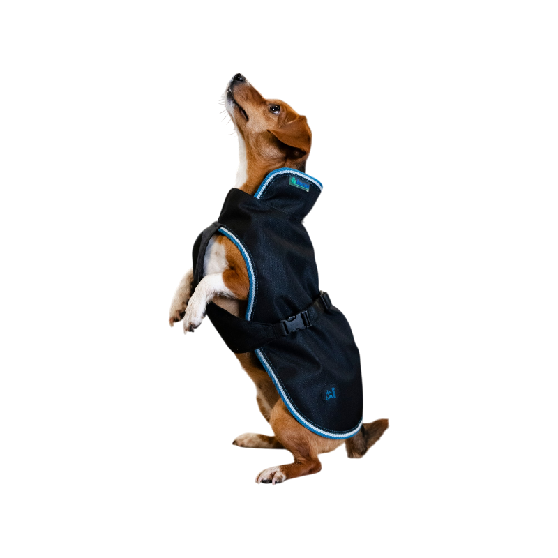 Bucas - Anniversary Dog Blanket Sapphire