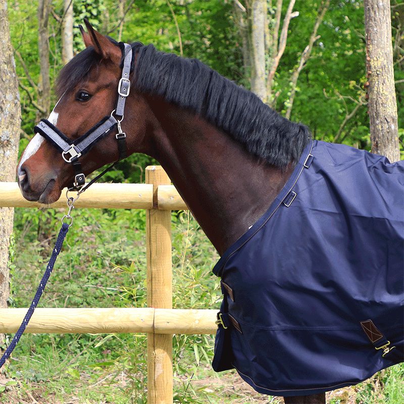 Kentucky Horsewear - Couverture d'exterieur 50 g marine | - Ohlala