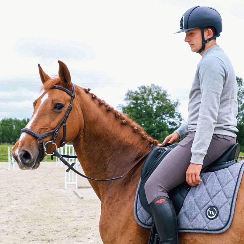 Back On Track - Tapis de dressage Haze Collection gris | - Ohlala