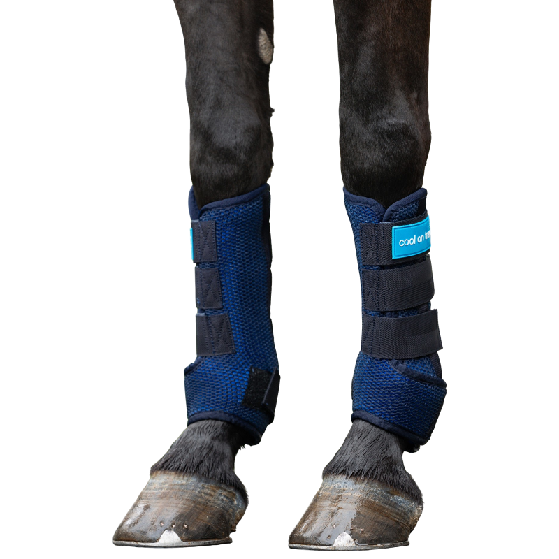 Back On Track - Cool On Track 2.0 Blue Cooling Boots