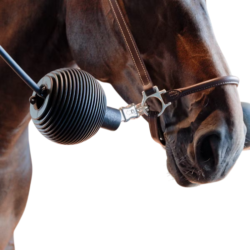 Grooming Deluxe - Pallina di protezione per attacco Ball Pro nero | - Ohlala