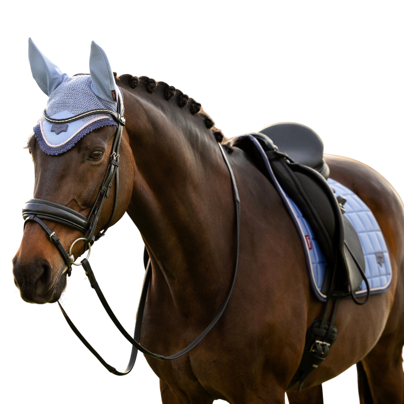 LeMieux - Bonnet pour chevaux Loire powder blue | - Ohlala