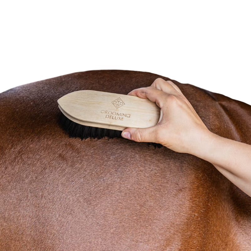 Grooming Deluxe - Spazzola rotonda in legno a pelo medio nera | - Ohlala