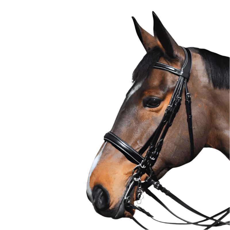 Lexington - Michigan Bridle with reins 