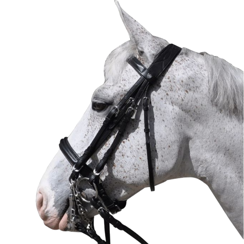 Flags &amp; Cup - Hagen bridle with reins black 