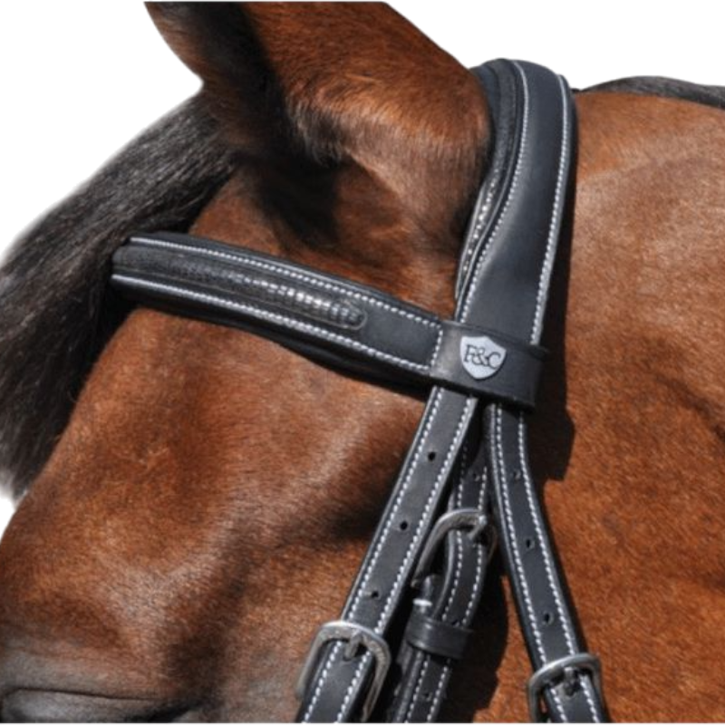 Flags &amp; Cup - Helsinki bridle with reins black 
