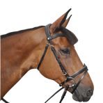 Canter - Rose Gold Bridle with Black Reins | - Ohlala