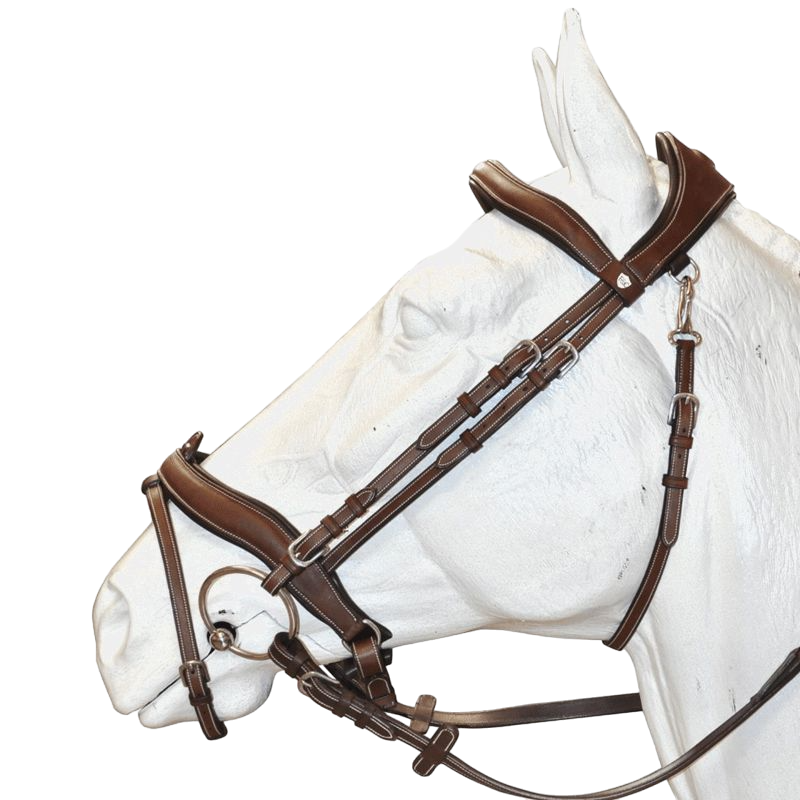 Flags &amp; Cup - Comfort bridle combined with tan reins