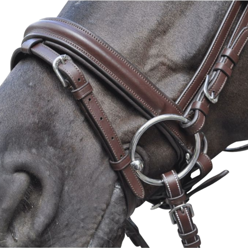 Flags &amp; Cup - Hickstead Bridle with Brown Reins 
