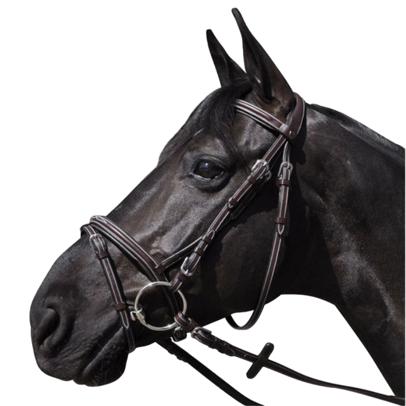Flags &amp; Cup - Wellington bridle with brown reins