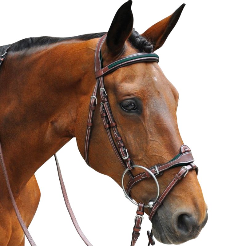 Flags &amp; Cup - Paris combined bridle with brown/green reins
