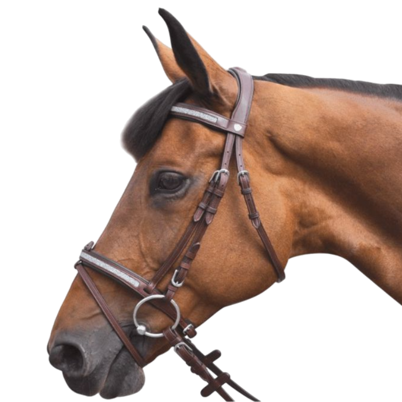 Flags &amp; Cup - Kitsi bridle with brown reins