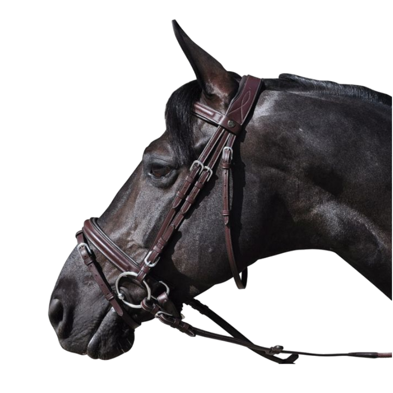 Flags &amp; Cup - Hickstead Bridle with Brown Reins 