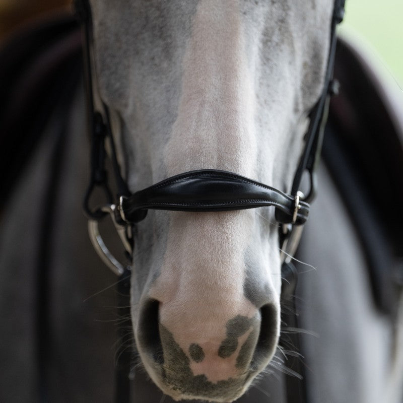 Jump'In - Bridon muserolle allemande Evolution noir | - Ohlala