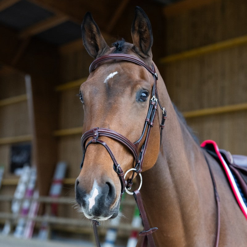 Jump'In - Bridon muserolle combinée Evolution noisette | - Ohlala