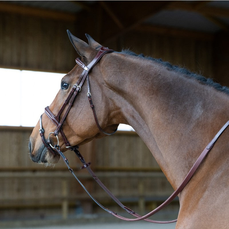 Jump'In - Bridon muserolle combinée Evolution noisette | - Ohlala