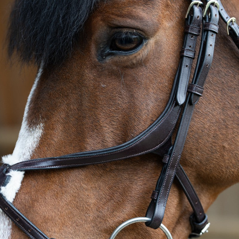 Jump'In - Bridon muserolle croisée Evolution havane | - Ohlala