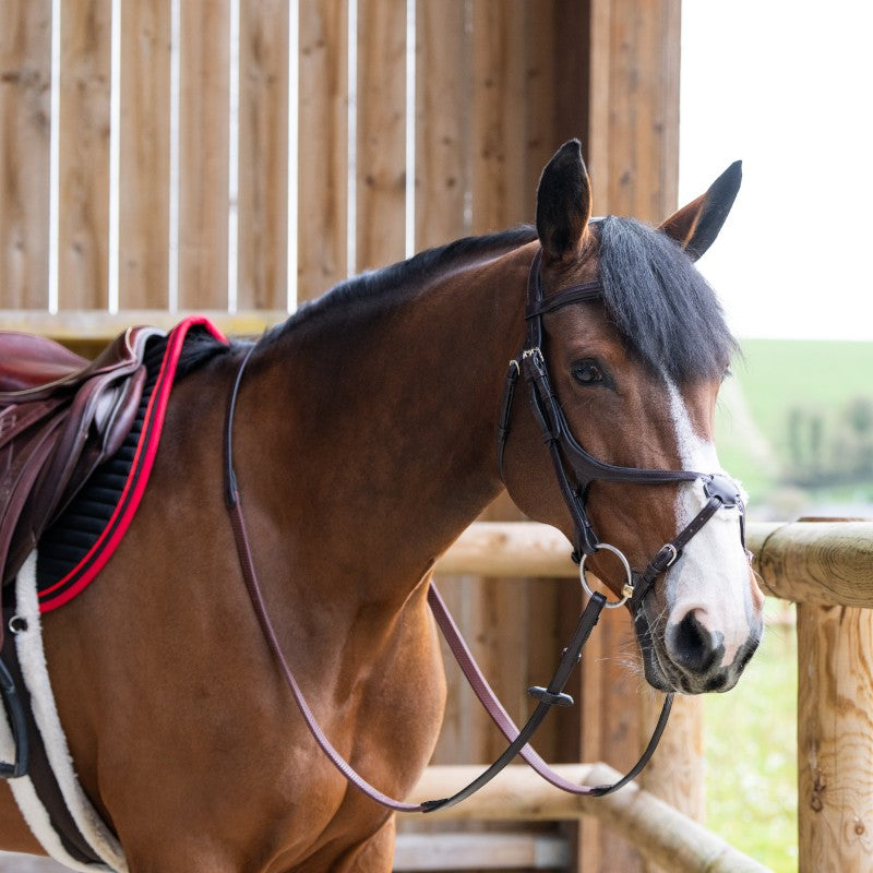 Jump'In - Bridon muserolle croisée Evolution havane | - Ohlala