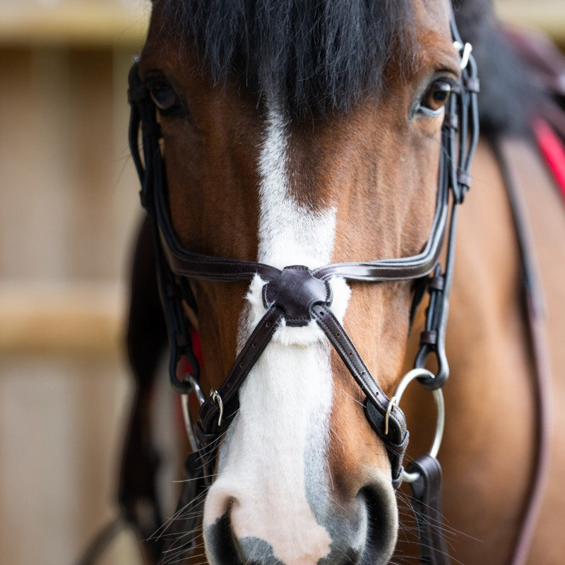 Jump'In - Bridon muserolle croisée Evolution havane | - Ohlala