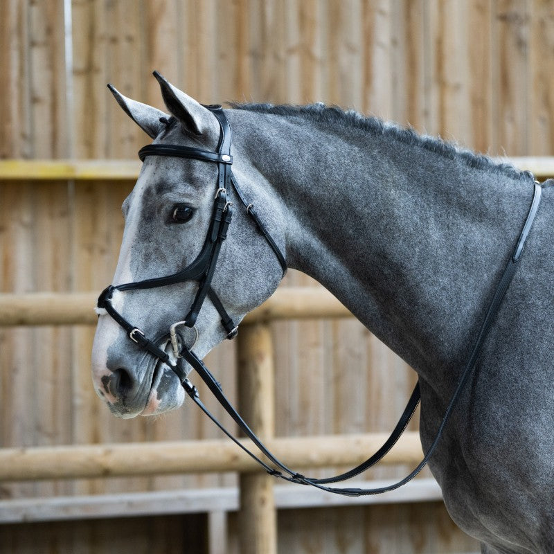 Jump'In - Bridon muserolle croisée Evolution noir | - Ohlala